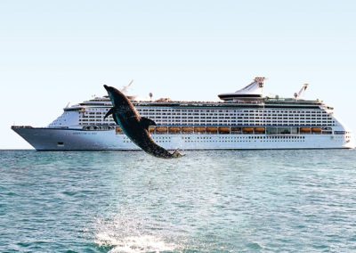 Adventure of the Seas Kreuzfahrt buchen bei sail-and-cruise.de